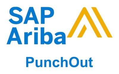 Unlocking the Power of Ariba PunchOut for Your Online Company Store